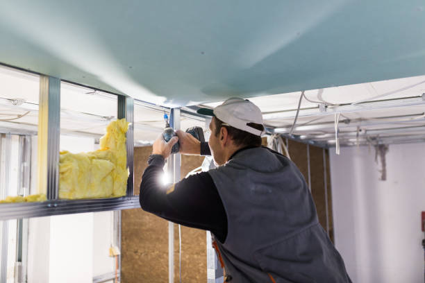 Best Local Insulation Services  in Versailles, MO