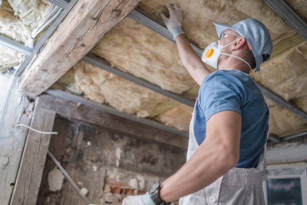 Best Blown-in Insulation  in Versailles, MO