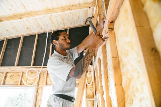 Best Insulation Repair Services  in Versailles, MO