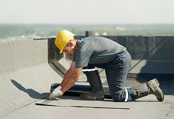 Best Cellulose Insulation  in Versailles, MO
