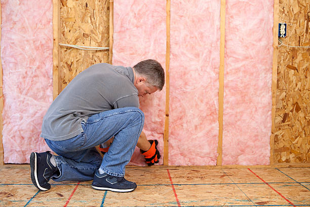 Best Attic Insulation Installation  in Versailles, MO