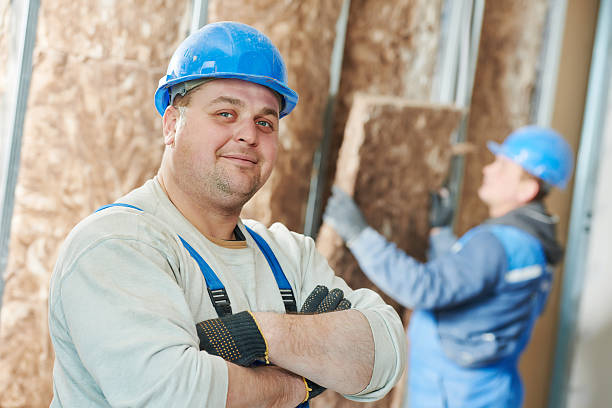 Best Spray Foam Insulation  in Versailles, MO
