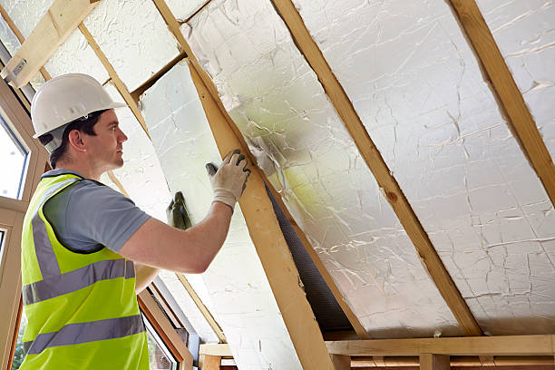 Best Wall Insulation Contractor  in Versailles, MO