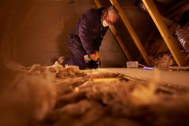 Best Insulation Installation Cost  in Versailles, MO